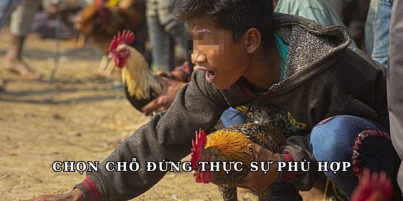 Chọn chỗ đứng thực sự phù hợp