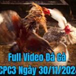 Full Video Đá Gà CPC3 Trực Tiếp Ngày 30/11/2024