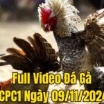 Full Video Đá Gà CPC1 Trực Tiếp Ngày 09/12/2024