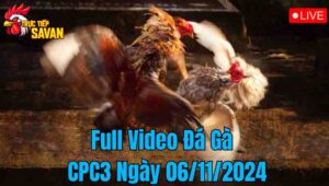 Full Video Đá Gà CPC3 Trực Tiếp Ngày 06/12/2024