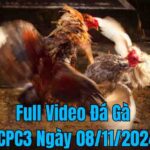 Full Video Đá Gà CPC3 Trực Tiếp Ngày 08/12/2024