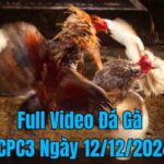 Full Video Đá Gà CPC3 Trực Tiếp Ngày 12/12/2024