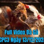 Full Video Đá Gà CPC3 Trực Tiếp Ngày 13/12/2024