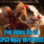 Full Video Đá Gà CPC3 Trực Tiếp Ngày 18/12/2024